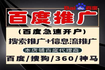 百度竞价托管公司如何实现广告投放的ROI最大化